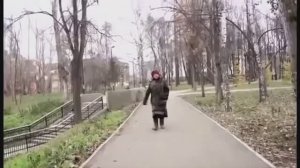 А я думала сова HD