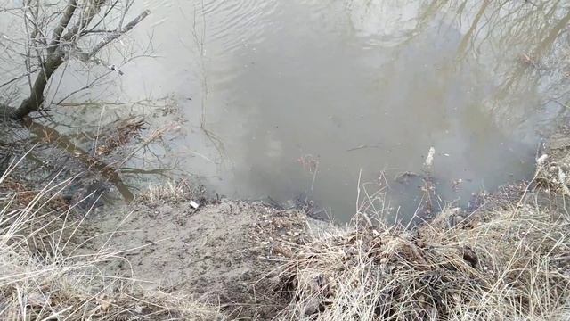 Тобол д.Чёрная 12.04.2024г смотреть онлайн