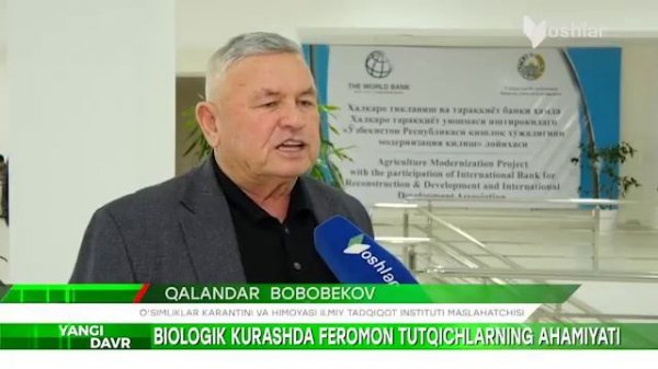 Biologik kurashda feromon tutqichlarning ahamiyati.