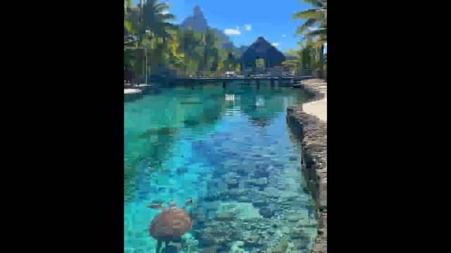 Jazbaat: A Heart Touching Kashmiri Song [Singer Shazia Bashir]