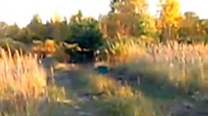Мр-512 с прицелом липерс