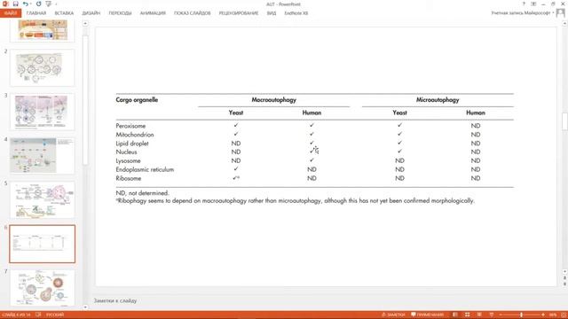 12. Аутофагия смотреть онлайн
