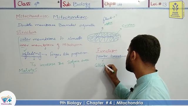 Mitochondria | Chapter 4 | 9th class Biology | Lec.13 смотреть онлайн
