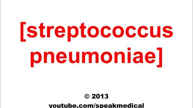 Pronounce Streptococcus Pneumoniae | SpeakMedical смотреть онлайн