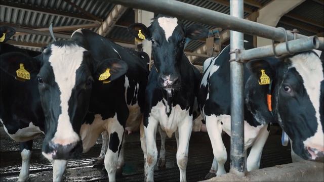 ASIAEXPO - КРУПНЕЙШЕЕ КОНГРЕССНО-ВЫСТАВОЧНОЕ МЕРОПРИЯТИЕ В СФЕРЕ АПК МИРОВОГО МАСШТАБА!