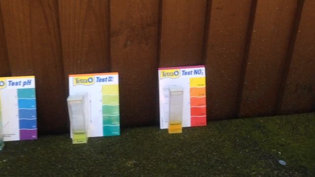 Тетра тест воды в пруду / pond water chemical test with "Tetra". смотреть онлайн