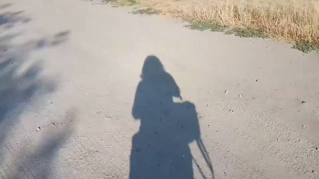 Белка песенки поёт смотреть онлайн