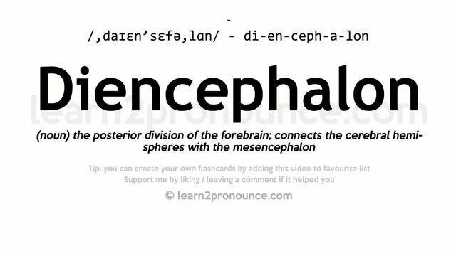 Pronunciation of Diencephalon | Definition of Diencephalon смотреть онлайн