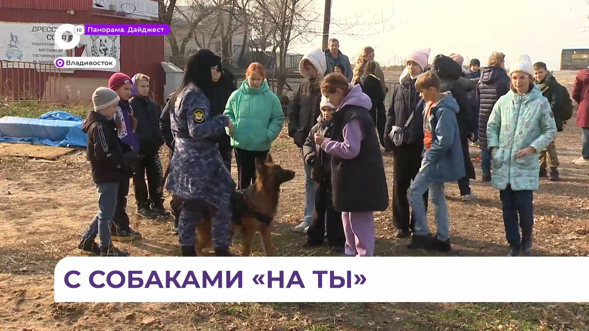 Новый проект «Путь в кинологию» создали для школьников Приморья смотреть онлайн