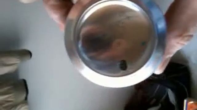 Simple Coilgun Video0028 смотреть онлайн