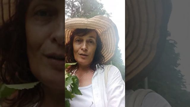 🍀💃🏞🍀Трансформационные ПРОГУЛКИ с ДЖИВОЙ👌🏻🎋 или преОБРАЗование себя! Пишите в ТГ: +7 924 4040 123 смотреть онлайн