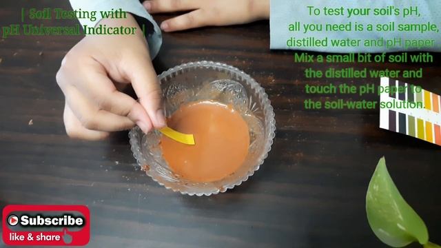 "DIY Soil Testing with Universal Indicator Paper | Gardening pH Test at Home" смотреть онлайн