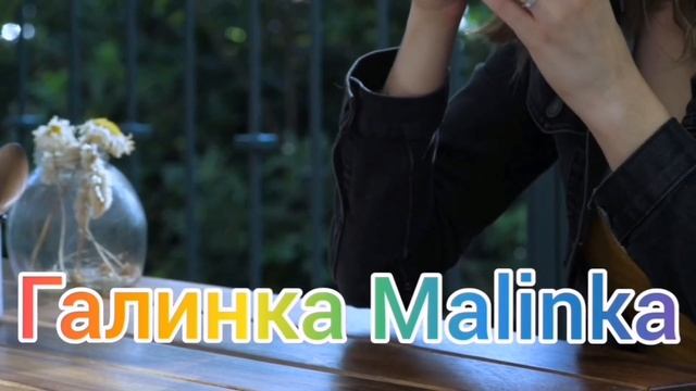 Big Big Family in the USA /Вова и Лена будут вместе /Жизнь в Америке /США Vlog смотреть онлайн