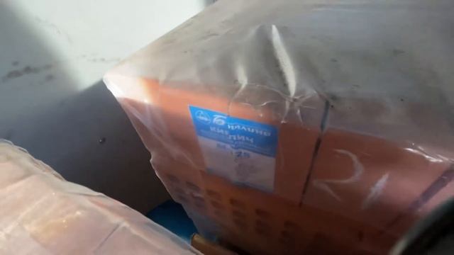 Газель Некст ЦМФ мотор каменс и два поддона кирпича по 1050 кг = 2100 кг , везёт легко смотреть онлайн