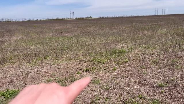 Гліфосат під посів соняшника. Гербіцид на пшеницю. смотреть онлайн