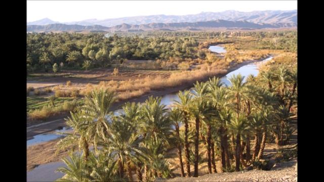 Алхимик + смотреть онлайн