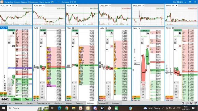 PLZL основания. Тип В.