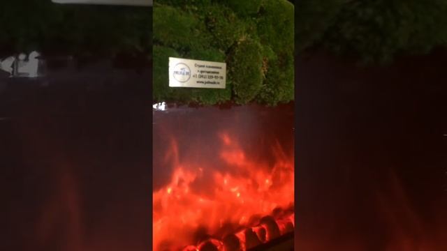 Зелёная стена из мха от студии Palma de смотреть онлайн