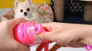 СЛАЙМ ЭКСПЕРИМЕНТЫ с КОШАЧЬИМ НАПОЛНИТЕЛЕМ