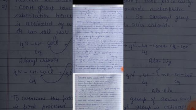 Amino acids 5th lecture смотреть онлайн