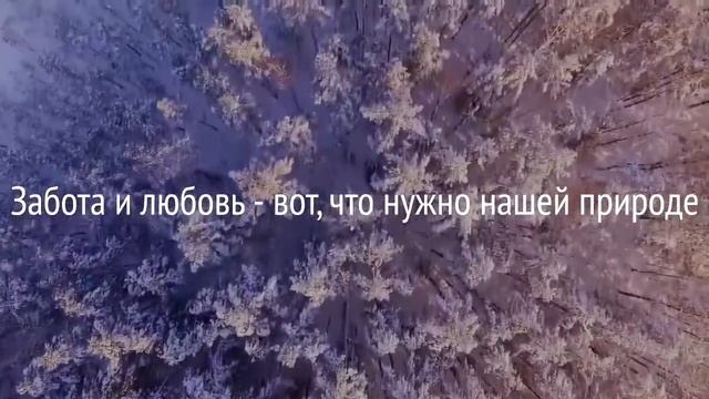 Берегите Лес! ГУО Бабиничская СШ Витебского района смотреть онлайн