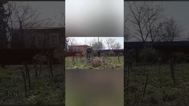 Как дети помогают убирать траву с огорода. смотреть онлайн