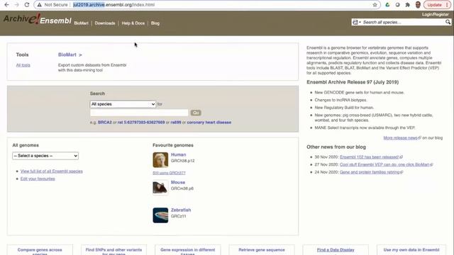 Virtual Workshop - The Ensembl Genome Browser - (2021): Webinar 1 - Introduction смотреть онлайн