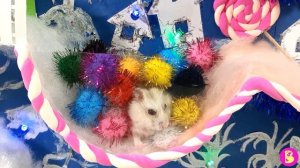 ХОМЯЧОК ДЕД МОРОЗ** НОВОГОДНЯЯ СКАЗКА для ВИКИ