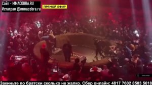 Анис  Охотник  Чилаев us Искандара  Шеф повар  Зияев топ дог 12