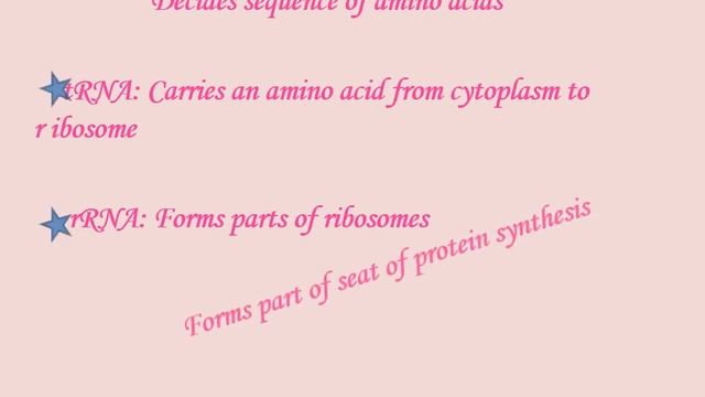 Bio Molecules l Important Terms | Difference b/w Fibrous Protein & Globular Protein | Part 2 смотреть онлайн