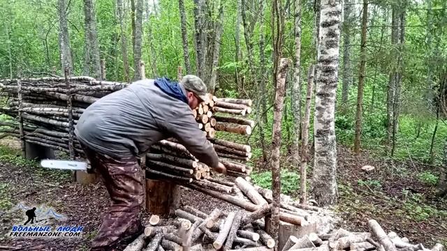 КАК ВЫРАСТИТЬ ГРИБЫ. СВОИ СВОИ БЕЛЫЕ ГРИБЫ И ПОДОСИНОВИКИ. Часть 1 - РАСЧИСТКА ЛЕСА - НАЧАЛО смотреть онлайн