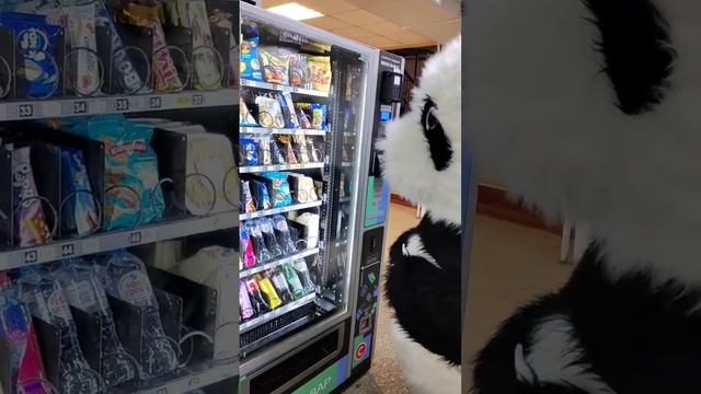 Наш Пончик ☺ смотреть онлайн