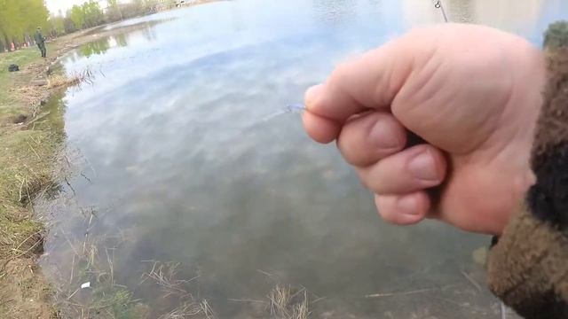 Из серии - " Городские водоёмы."" смотреть онлайн