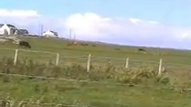 Iona 2005 - Part 01 смотреть онлайн