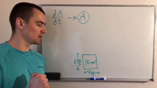 EACH SIDE OF A SQUARE IS INCREASING AT A RATE OF 6 CM/S. AT WHAT RATE IS THE AREA OF THE SQUARE... смотреть онлайн