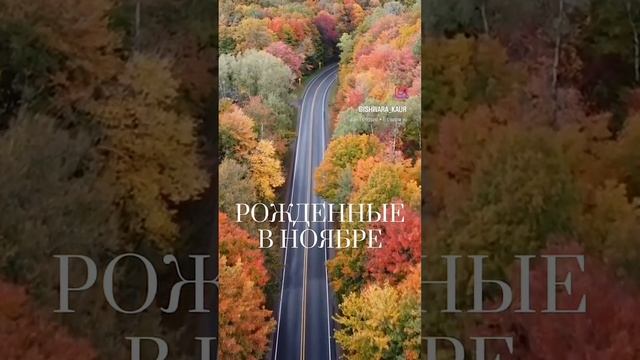 Те, кто родился в ноябре.mp4 смотреть онлайн