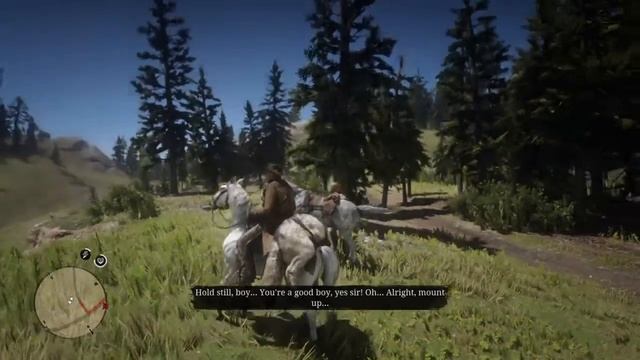Red Dead Redemption 2 Glitch: {Aerodynamic horse} смотреть онлайн