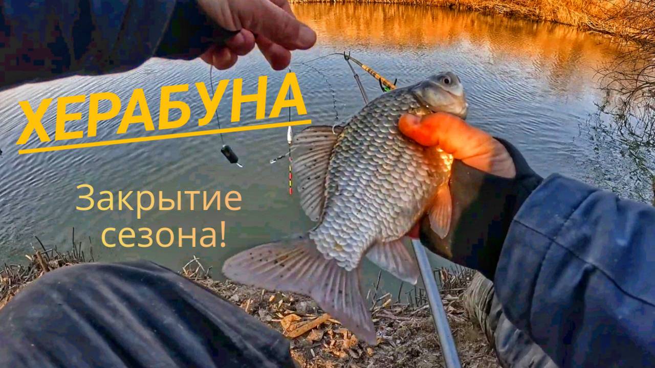ХЕРАбуна. Закрытие сезона😎🤟.mp4 смотреть онлайн