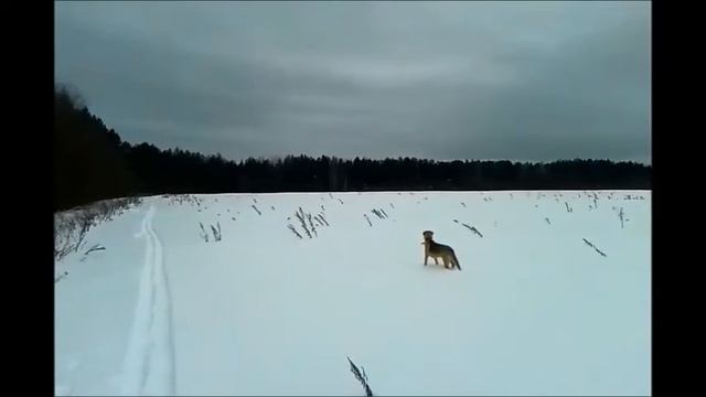 Патрикеевна смотреть онлайн