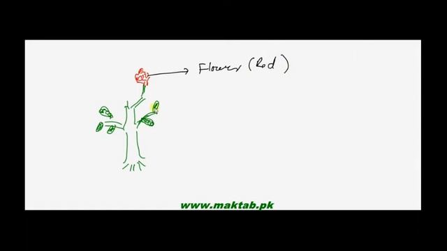 FSc Biology Book1, CH 4, LEC 14: Vacules and Plastids смотреть онлайн