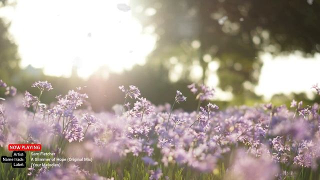 Top 5 April Emotional and Uplifting Trance 2023 смотреть онлайн