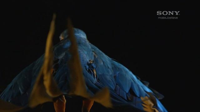 Лучшая группа в социальной сети в контакте Yourlik Veritas смотреть онлайн