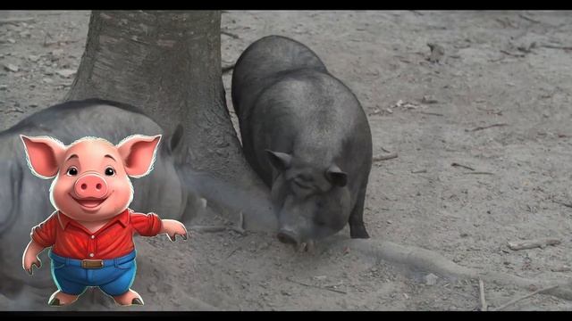 Детская видео-энциклопедия. Домашние животные. Свинка. смотреть онлайн