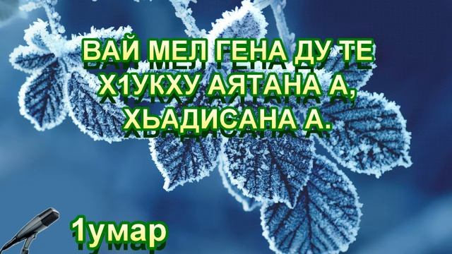 Вай мел гена ду техьа х1окху аятана а, хьадисана а // 1умар. смотреть онлайн