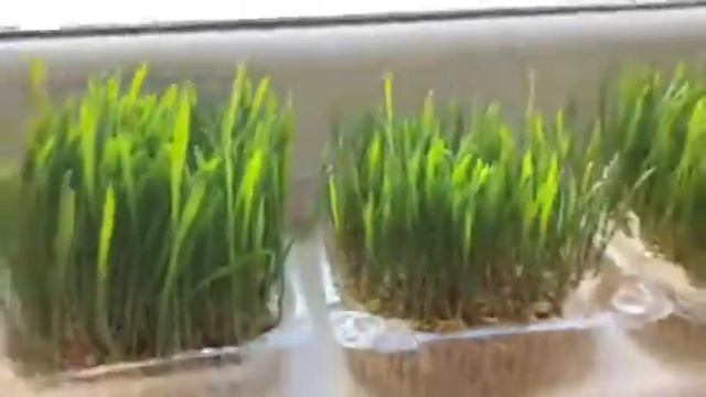 АБК-ТЕХНОЛОГИИ: сравнительный анализ смотреть онлайн