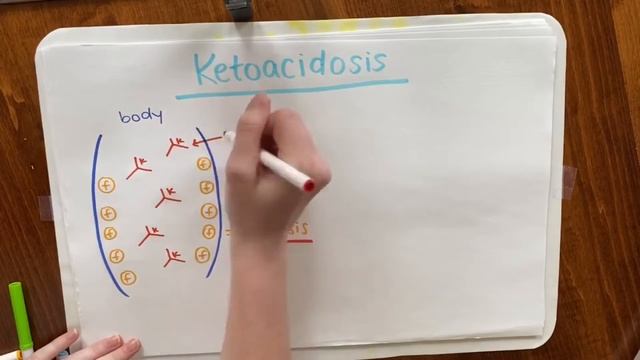 The Keto Diet смотреть онлайн