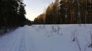 Уральский экспресс 27.01.2024