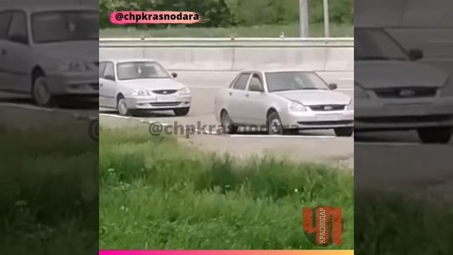 Краснодар, новый вид заработка смотреть онлайн