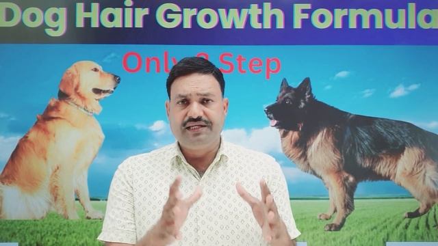 Dog के बाल बढ़ेंगे भी चमकेंगे भी dog hair growth Formula смотреть онлайн
