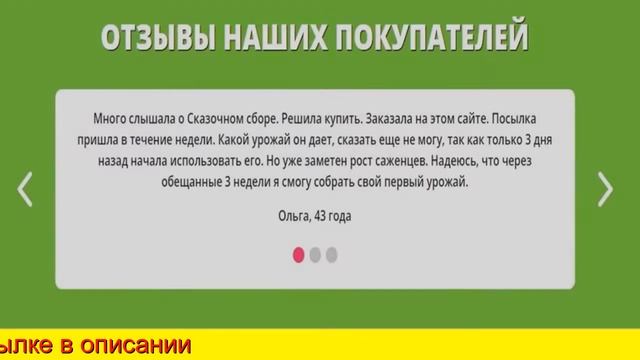 Ягода Сказочный Сбор смотреть онлайн